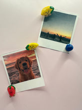 Load image into Gallery viewer, Locker buddies