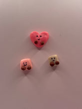 Load image into Gallery viewer, Locker buddies