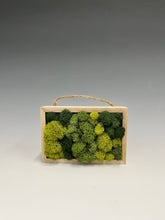 Load image into Gallery viewer, Moss Murals by Rowan
