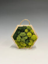 Load image into Gallery viewer, Moss Murals by Rowan
