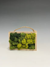 Load image into Gallery viewer, Moss Murals by Rowan
